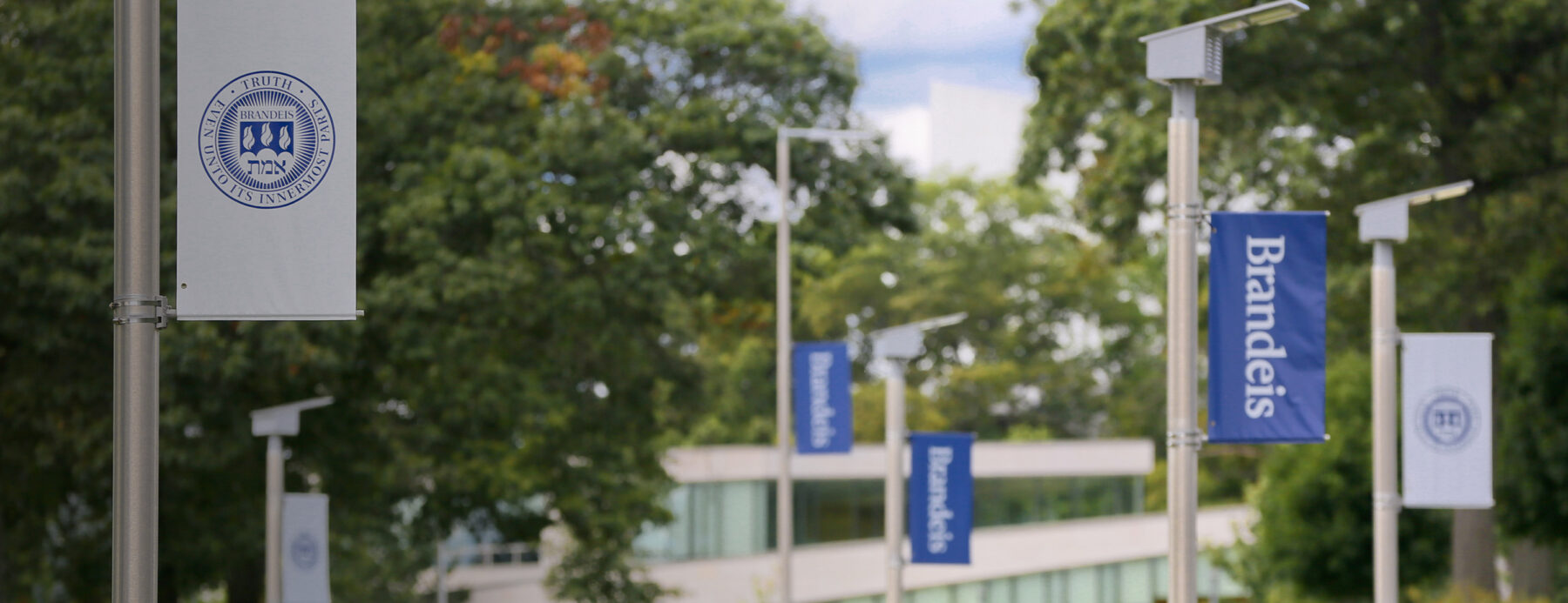 Photo of Brandeis Flags outside